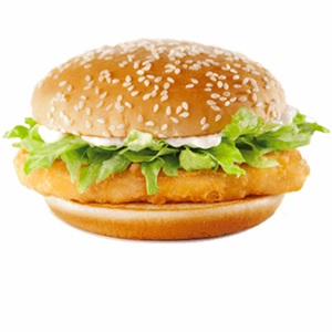 MagChicken